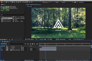 Captura de pantalla de un archivo .aepx en Adobe After Effects CC 2019