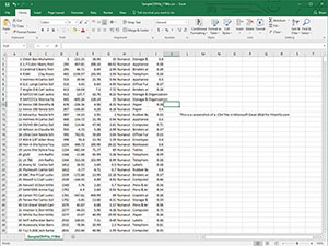 Captura de pantalla de un archivo .csv en Microsoft Excel 2016