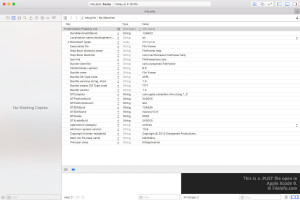 Captura de pantalla de un archivo .plist en Apple Xcode 9